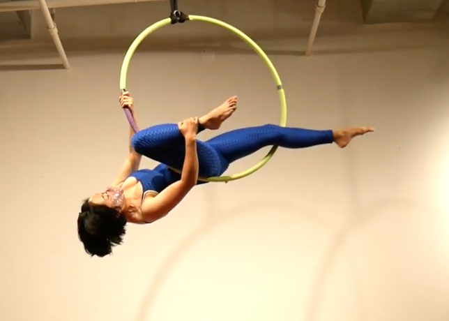 Gazelle on Aerial Hoop