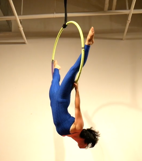 Birds Nest Aerial Hoop