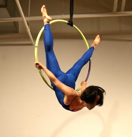 Aerial Hoop Birds Nest